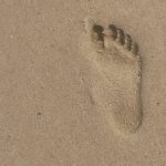 Guía fácil para mejorar tu huella digital