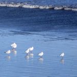 Una App para no abandonar la búsqueda de empleo en verano