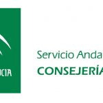 Consejos para mantener la demanda de empleo actualizada